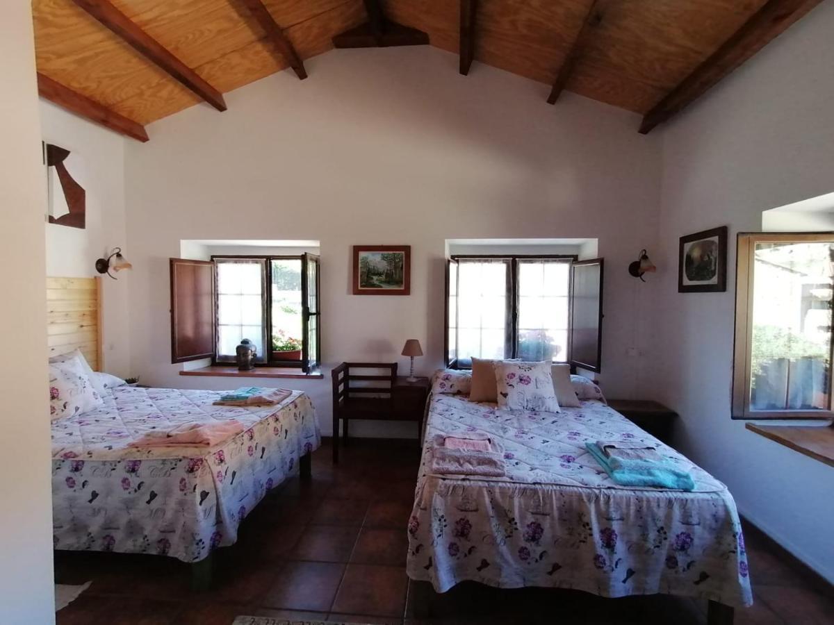 Casa Rural Nevada Horcadas ภายนอก รูปภาพ